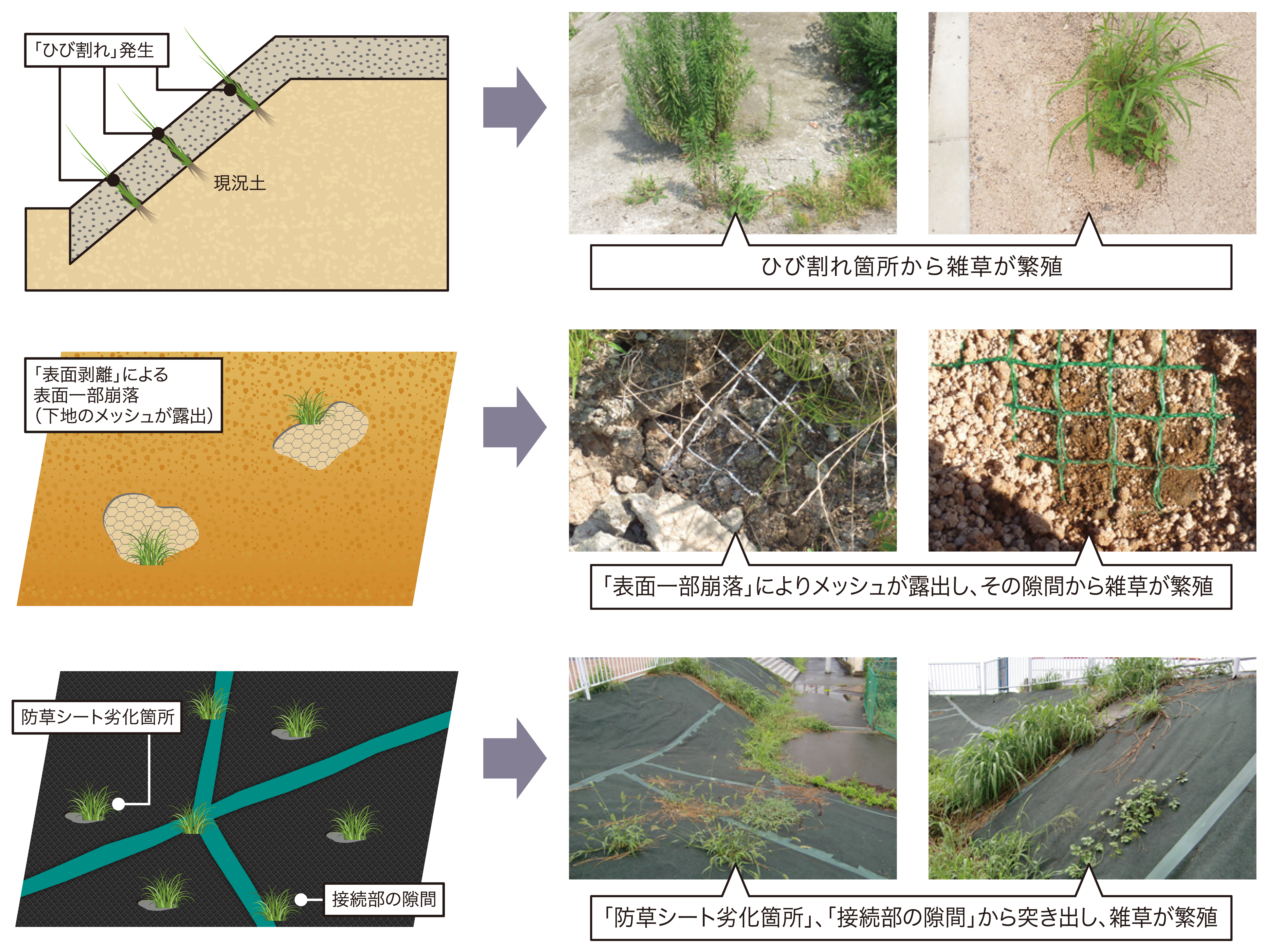従来型防草工法(モルタル吹付工法、土系防草工法、防草シート)の欠点